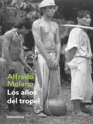 cover image of Los años del tropel